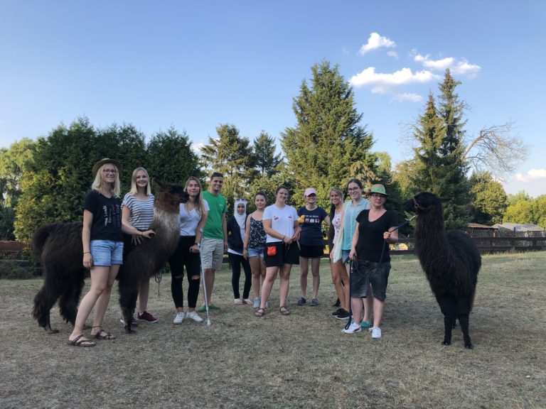 Lama-Wanderung in Lampertheim